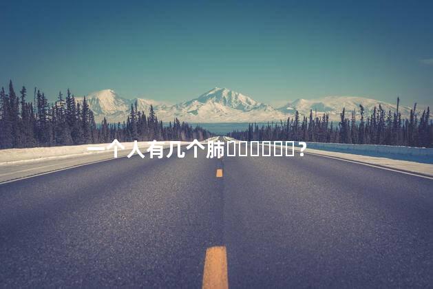 一个人有几个肺？